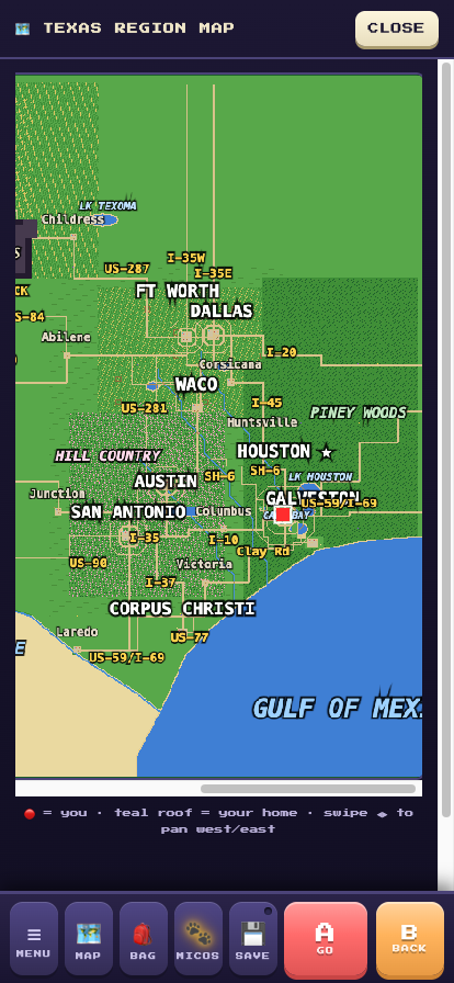 The geographically real Texas region map